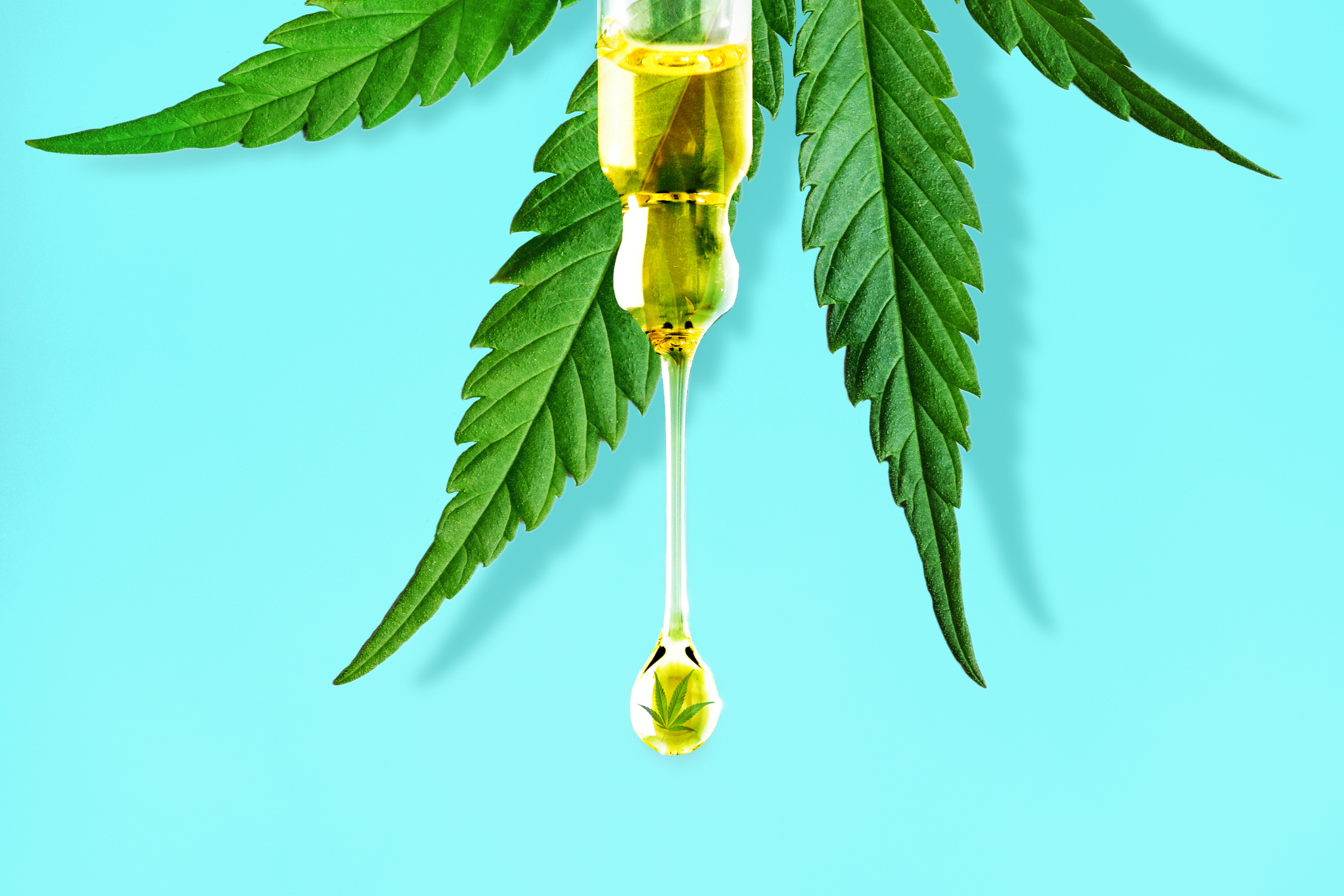 CBD Trgovske Storitve